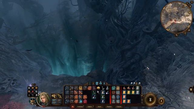 Baldur's Gate 3 | Eldritch Knight | An Elven El'Tael's Journey (Act 2, Part 8)