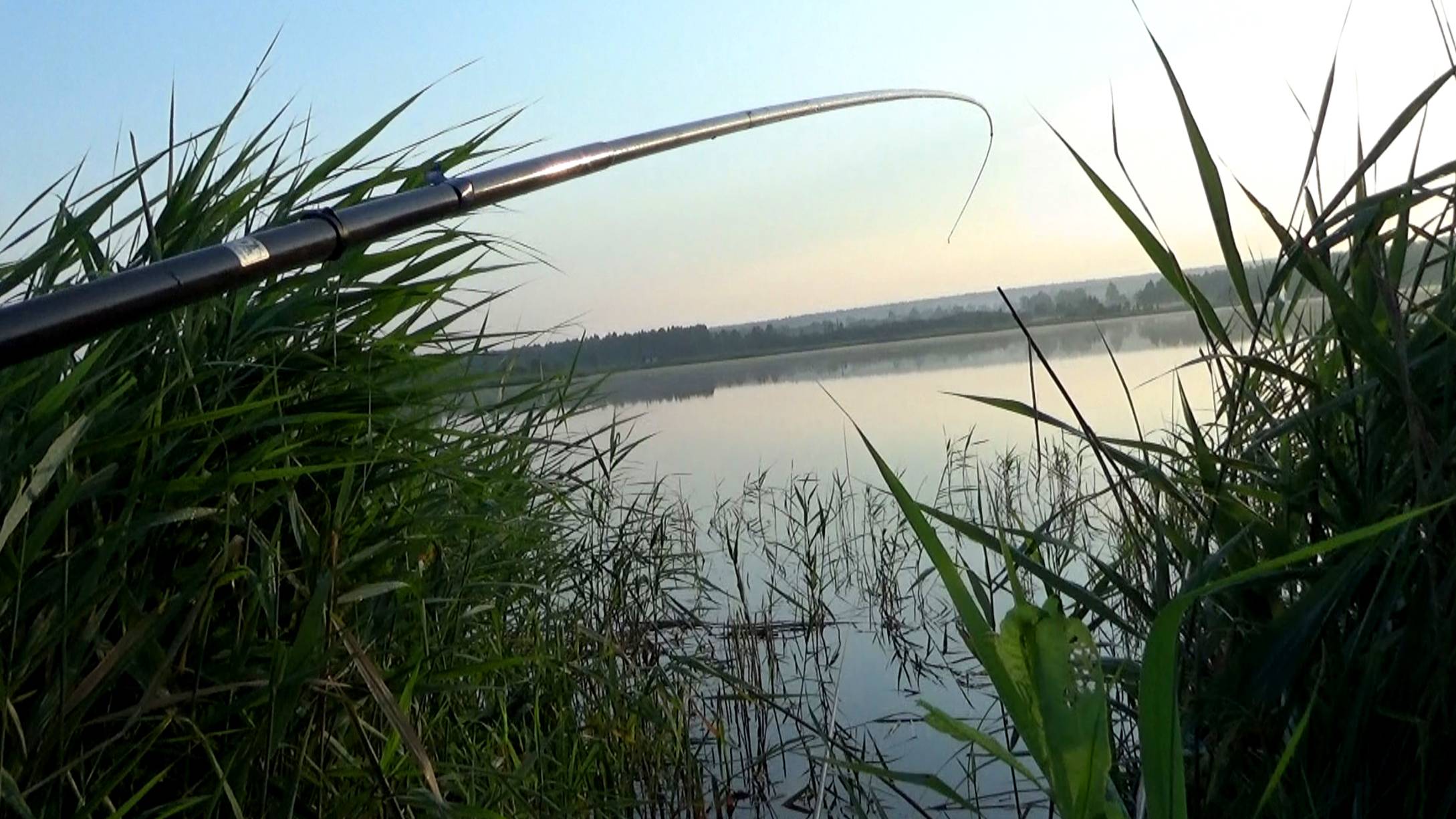 Рыбалка 16 июля - Отличный улов линя на поплавок на удочку в окнах тростника!