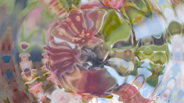 И.С.Бах Ария