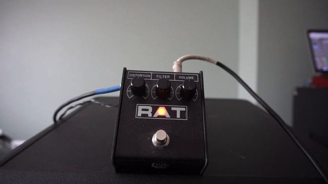pro co rat pedal with gibson explorer