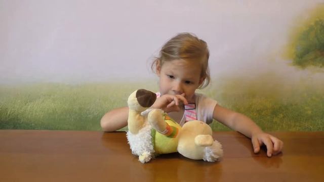 005 Бараш помогает Соне в развитии внимания Да или нет Netyasama Развивающие игры для детей