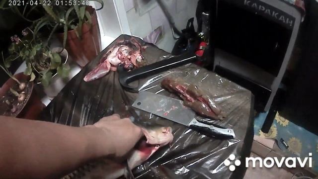 шарабан из сазана