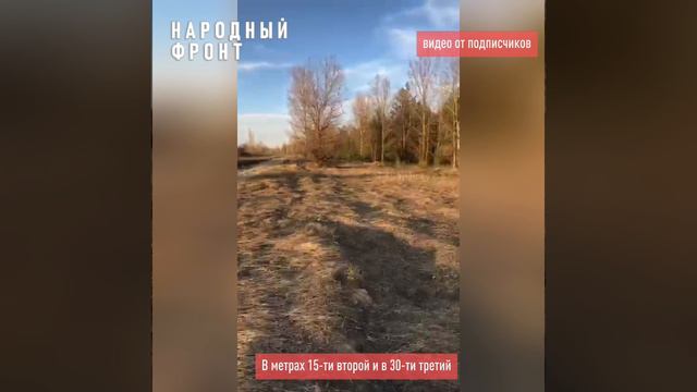 Жители села Девица Семилукского района сообщили в Народный фронт об опасных колодцах.