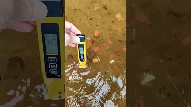 измеряем жёсткость речной воды с помощью солемера #tds #солемер #река