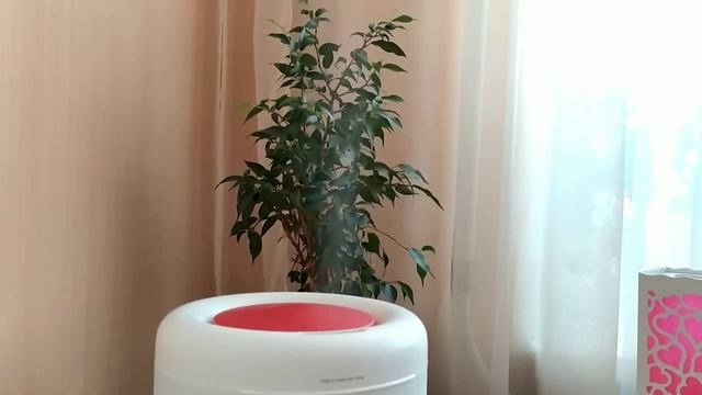 Увлажнитель-диффузор-ароматизатор Deerma Dem-301 #xiaomi #Derma