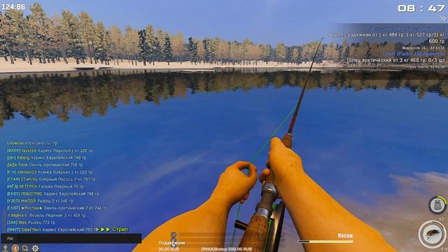 Fisher Online. Делаю ежедневки.