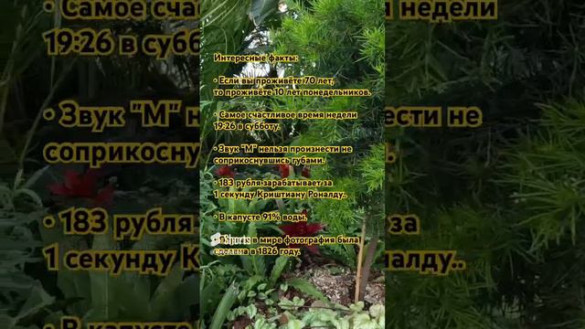 Интересные факты #рек #мудрость #философия #жизнь