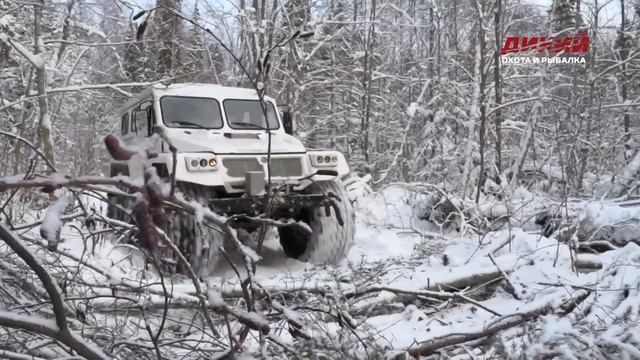 Волчий оклад. Охота на Русском Севере.