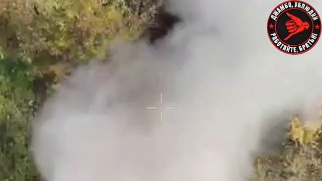 Российские военные при помощи ударных FPV-дронов уничтожили склад боеприпасов и боевую технику ВСУ н
