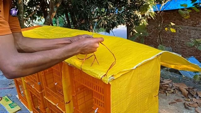 How To Make Pigeon House With Plastic Box || Pigeon House Making Video || How To Create Pigeon Loft