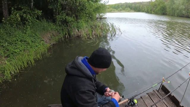 Риболовля під дождем, радує кльовом👍