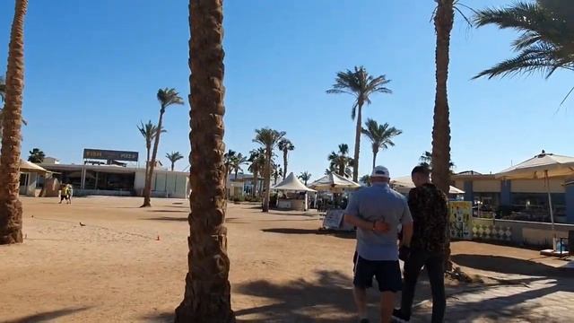Египет 2023/ Mirage bay/ Поели и пошли есть мороженое/ Проспали праздничный ужин/ Шоу тайм