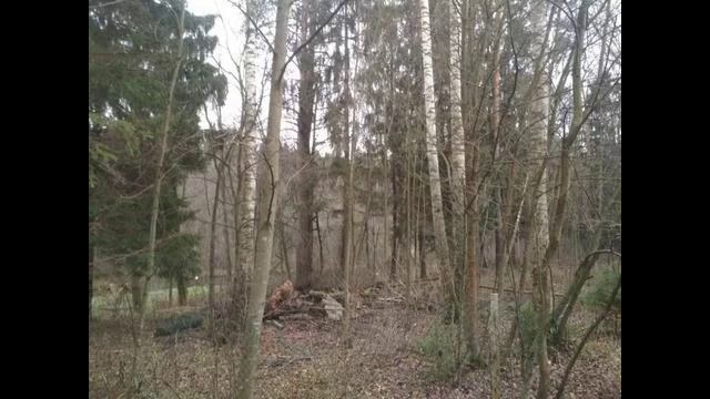 Лесной участок у воды в поселке на Новорижском ш. 10 км от МКАД