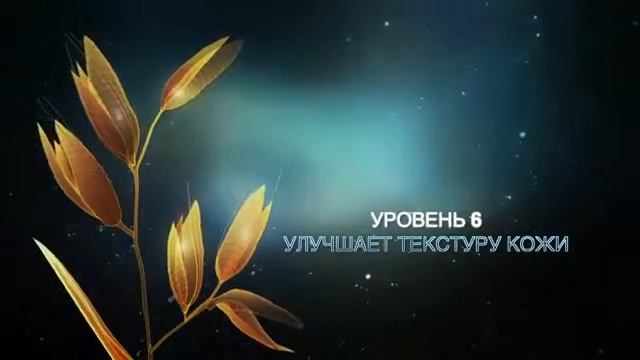 ARTISTRY™ intensive skincare   Программа восстановления 14 ночей