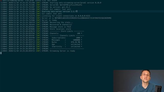 NATS Streaming Tutorial #1: Architektur, Installation, Hello World (German)