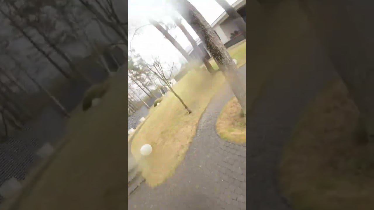 Хорошо получилось...