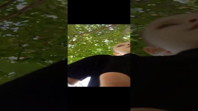 вторая часть обзора на собаку
