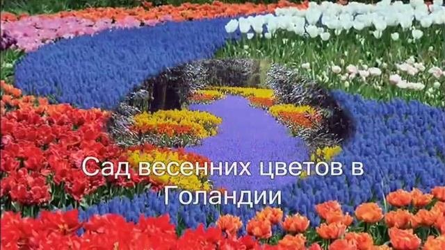 Дивная красота сада