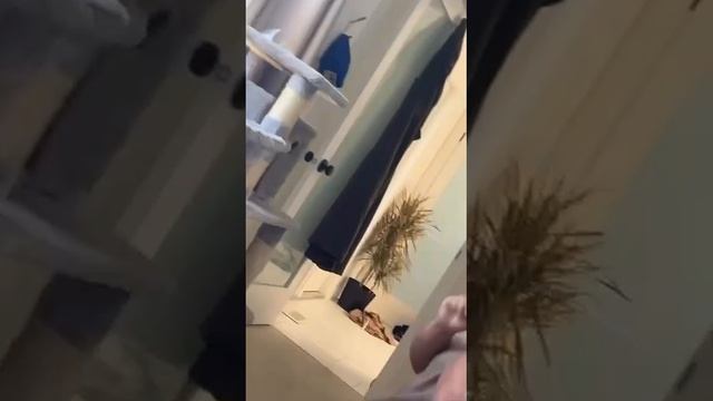 Не суй свой нос куда не надо