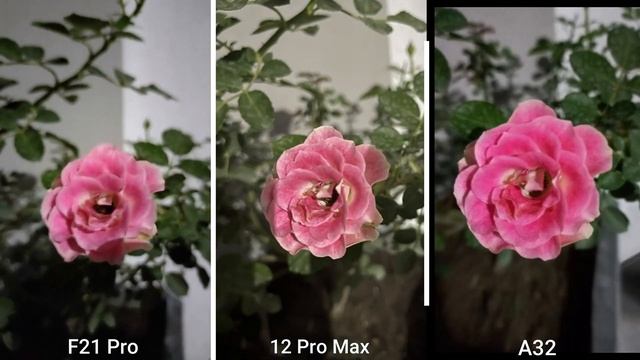 OPPO F21 Pro vs iPhone 12 Pro Max vs A32 Camera Test Comparison | OMG! F21 Pro ??