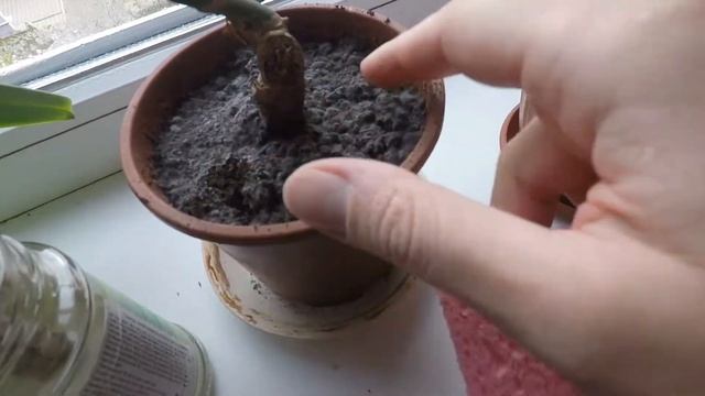 VLOG Закупка / Тыквенный крем-суп / Мое отношение к каблукам / Стирка-уборка