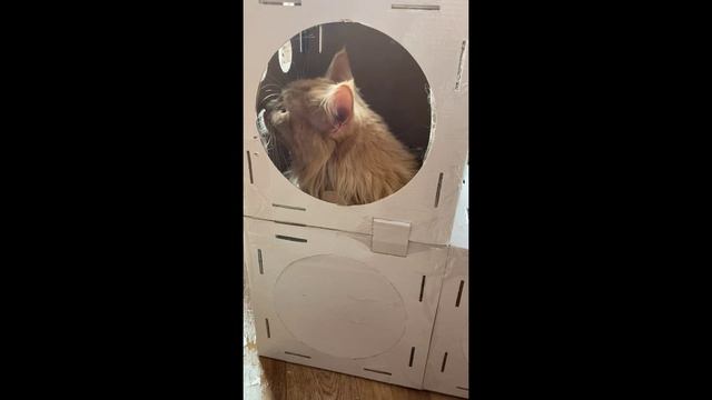 Новый проект