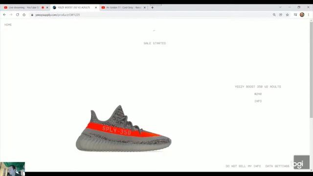 Yeezy 350 Beluga Reflective & Lebron 19 Space Jam : Live cop