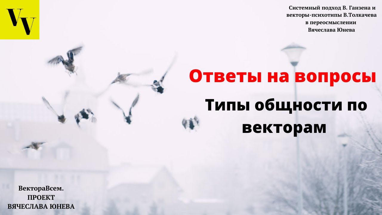 Типы общности по векторам. ВектораВсем. Проект Вячеслава Юнева