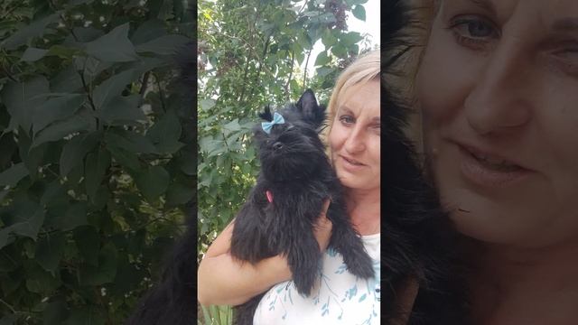 Кристиан в поиске ответственных владельцев ? Доставка возможна+79788972514
