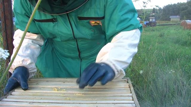 пчеловодство с нуля )