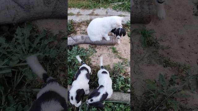 будни