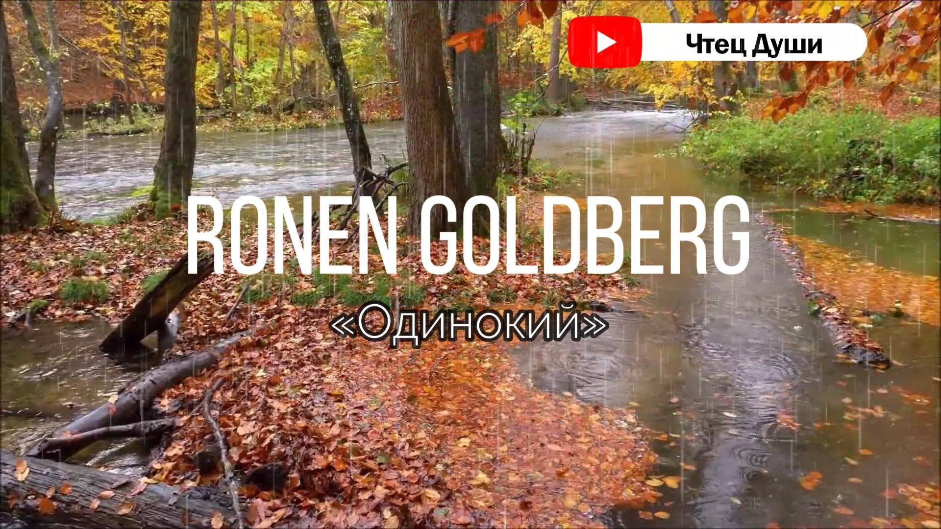 Стих  «Одинокий» , Автор  Ronen Goldberg 
#стих   #стихи  #стихотворение