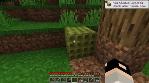 Версия 1.20 | Minecraft