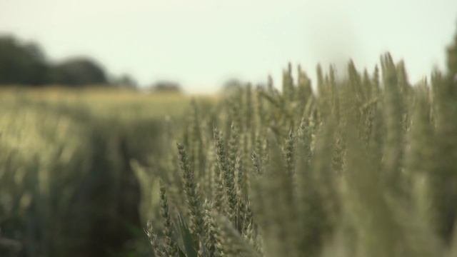 Изменила название  3