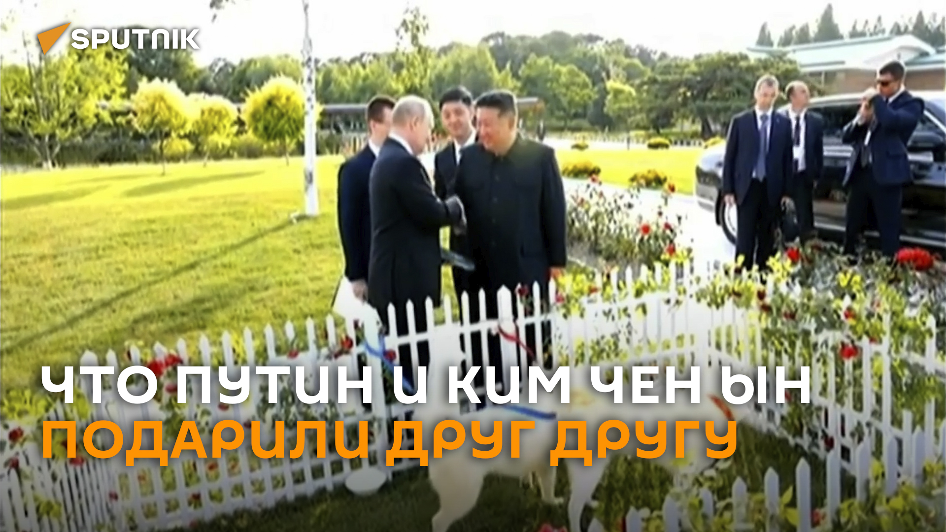 Аурус в обмен на собак редкой породы: что Путин и Ким Чен Ын подарили друг другу