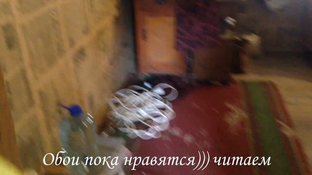Обзор дачного участка и планы на строительство и ремонт