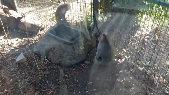 Как провели день в Краснодаре