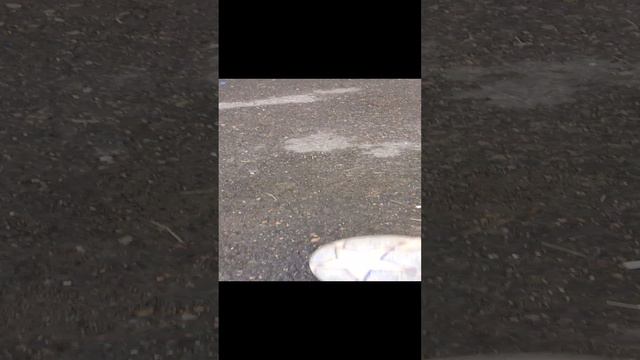 1000000774.mp4
