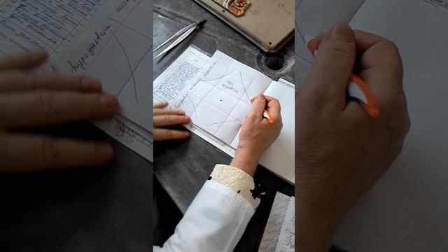 Пищевод, кишечник, двенадцатиперстная кишка