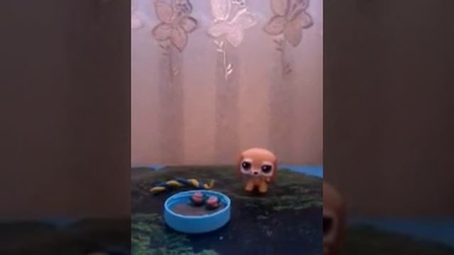 Diy для петов"Клумба с цветами"