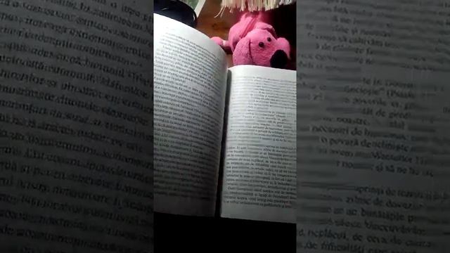 3 КНИГИ НА РУМЫНСКОМ ЯЗЫКЕ📔📕📖📃📒📓📚📙📘📗📜📄📰🗞📑🗒📋