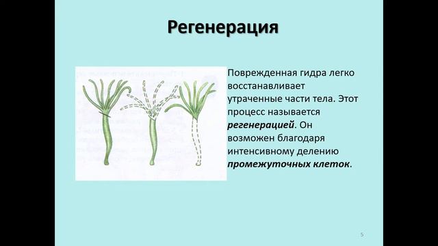 Объединение 