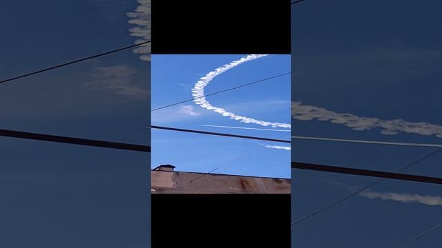 VID_20230203_144402.mp4