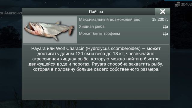 рыбалка 🎣 MyFishing ловим Пайяру