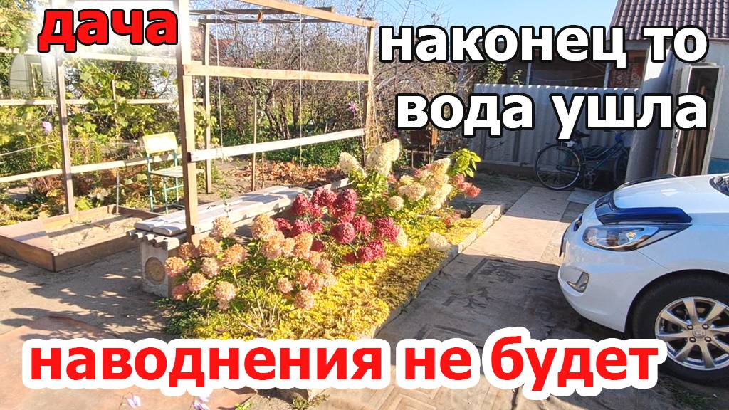 Дача.Уже Все жухнет и отцветает.Вода наконец то ушла.Сентябрь Орск 2024