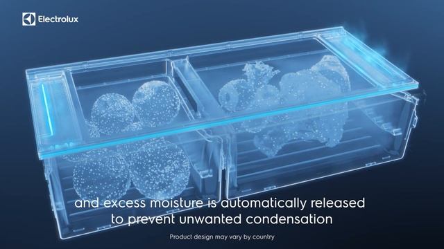Electrolux Refrigerator - Ultimate taste 900 609L - TasteLockAuto keeps vegetables fresh for 7 days