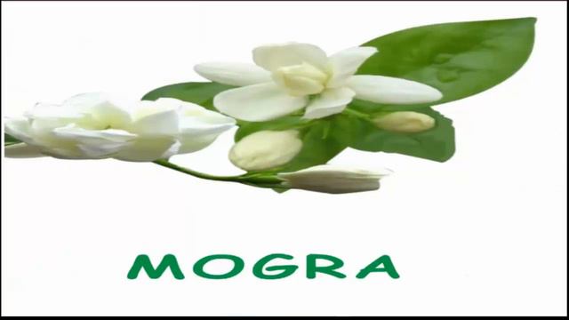 Learning  Flowers Name  for kids games. very easy way lear flowers game for child
