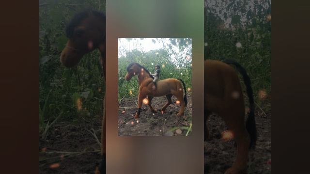 Видео к фотосессии ❤️