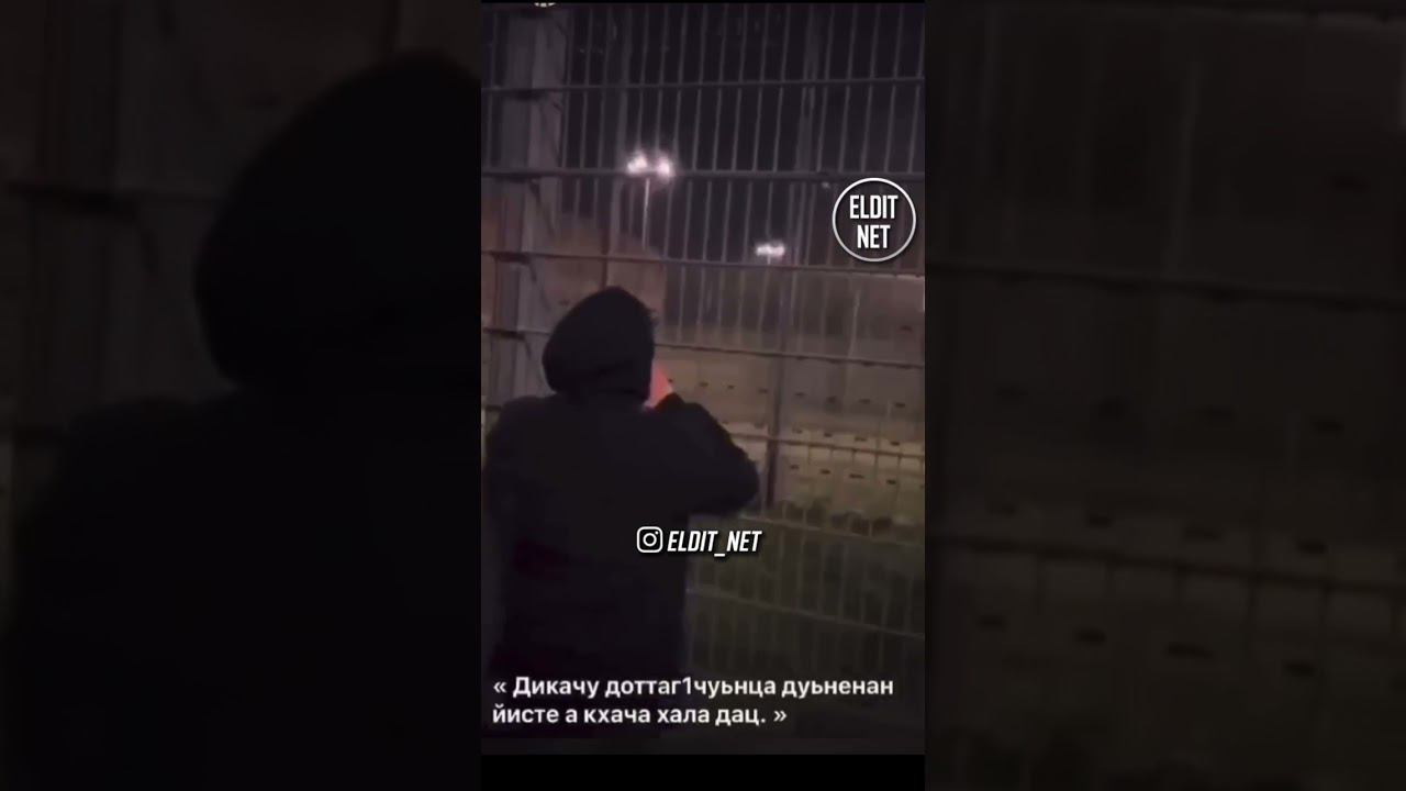 Друзья приехали в 4 утра чтоб-бы поздравить своего друга с днем рождения. Друг сидит в тюрьме.