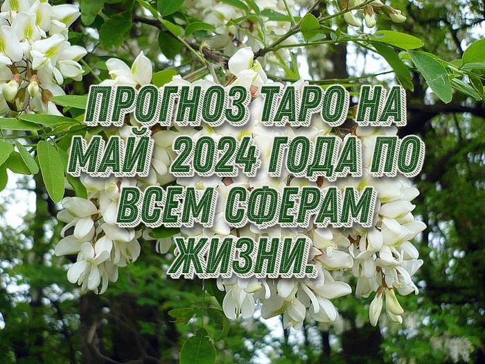 Прогноз Таро на май  2024 года по всем сферам жизни.